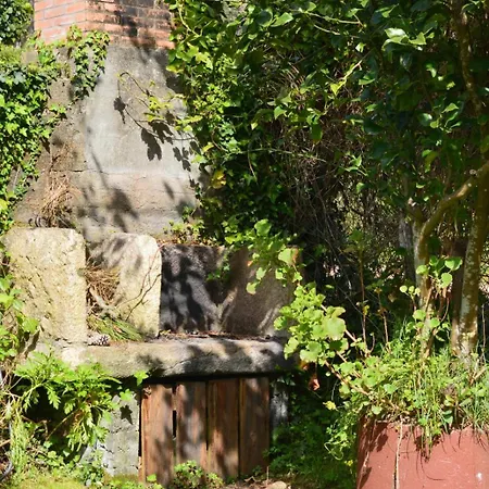 Casa De La Playa 別荘 *